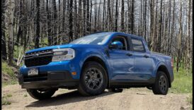 مافريكس على الطرق الوعرة: سيارات هجينة مصممة لتجربة الحياة البرية المطلقة