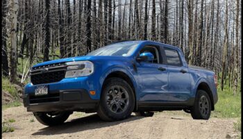 مافريكس على الطرق الوعرة: سيارات هجينة مصممة لتجربة الحياة البرية المطلقة