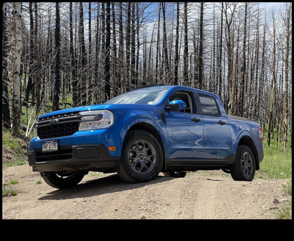 مافريكس على الطرق الوعرة: سيارات هجينة مصممة لتجربة الحياة البرية المطلقة