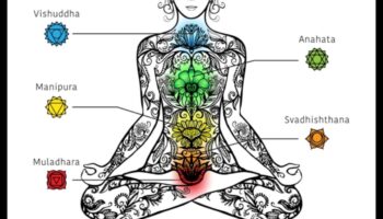 قانون التوازن: رعاية الرفاهية مع التأمل شقرا