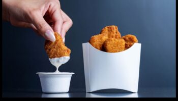 السحر الخالي من اللحوم: صياغة متعة الطهي بما يتجاوز المنتجات الحيوانية