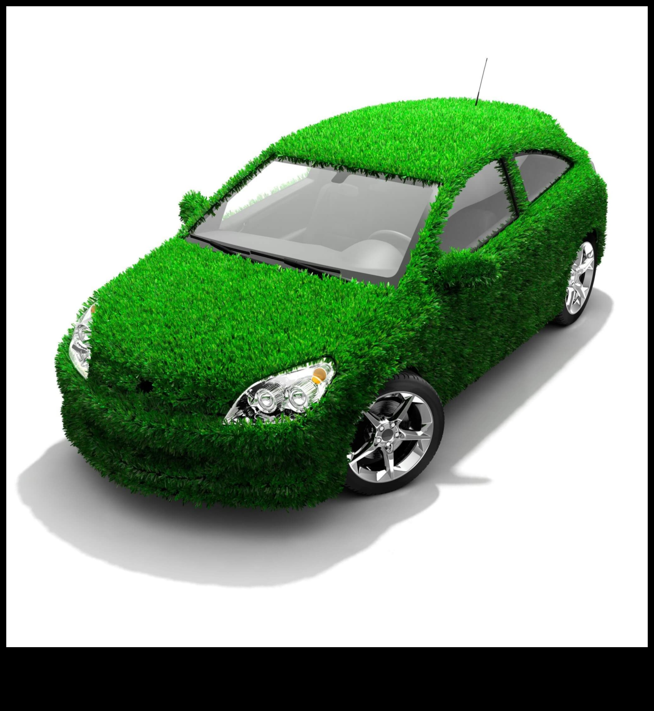 الهجينة من أجل قضية ما: المبادرات المجتمعية والعمل الخيري على الطريق الأخضر