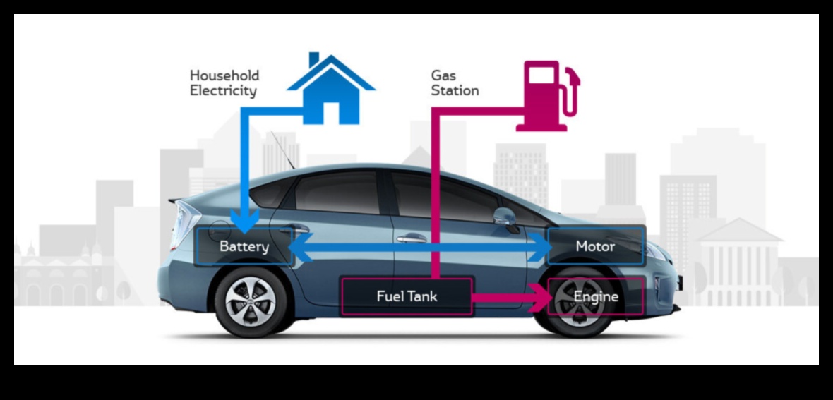 الهجينة من أجل قضية ما: المبادرات المجتمعية والعمل الخيري على الطريق الأخضر