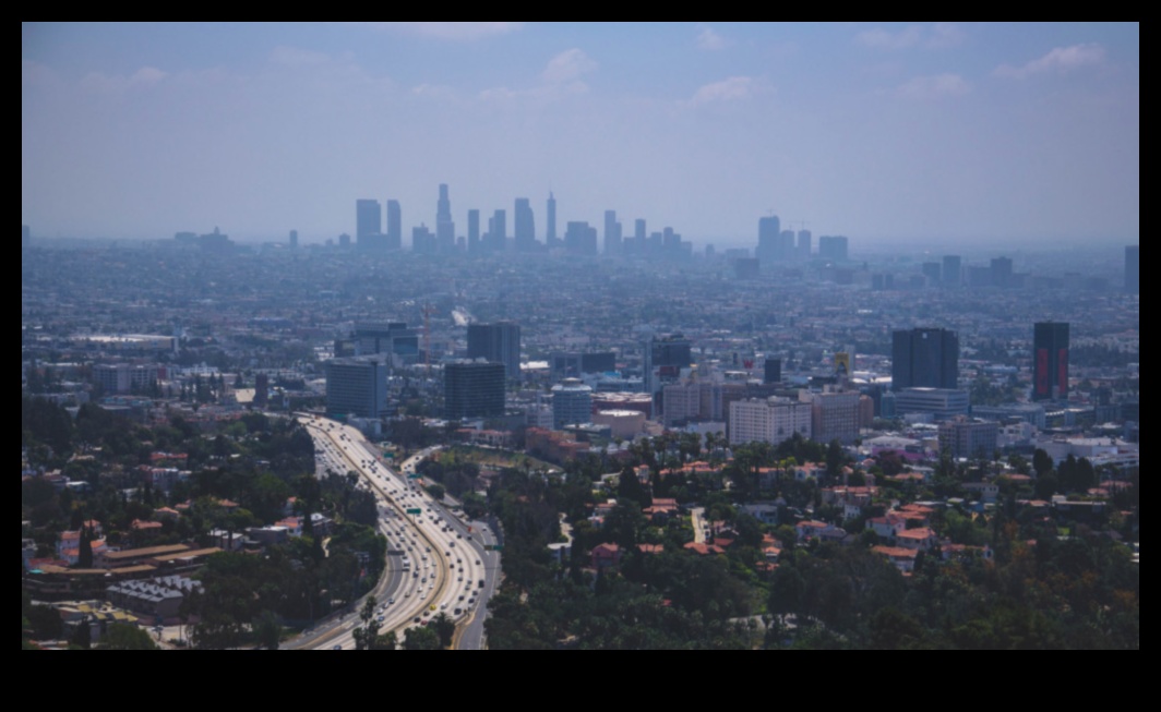 اتصالات سيتي سكيب: بناء المجتمعات من خلال التجربة المشتركة للنقل العام