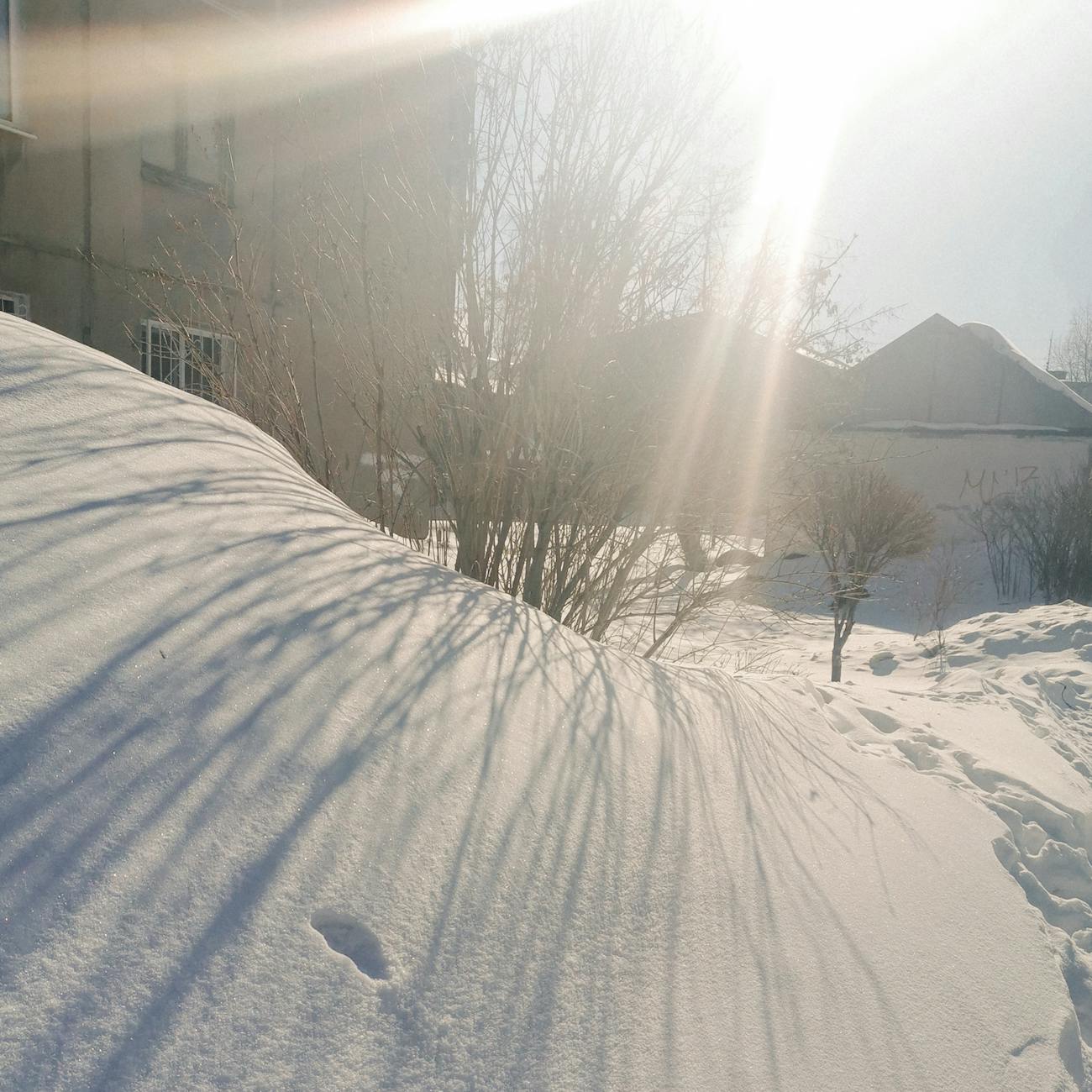 الوشم الواقعي الفني الحي بحافة حديثة 11 وشم تنين بأسلوب واقعي.