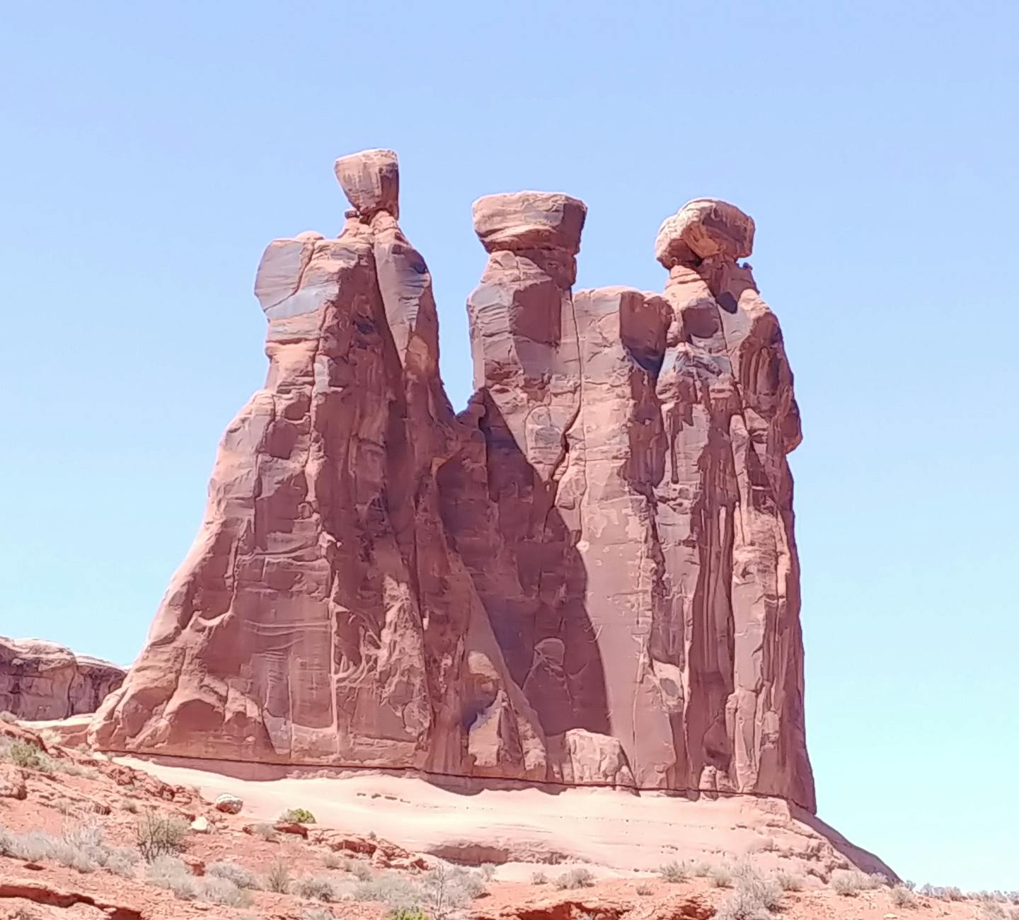 الوشم الواقعي الفني الحي بحافة حديثة 8 وشم زهرة بأسلوب واقعي.