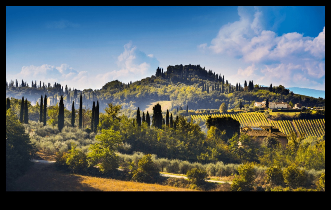 ملاذ الذواقة: الهروب مع المأكولات الإيطالية الأصيلة