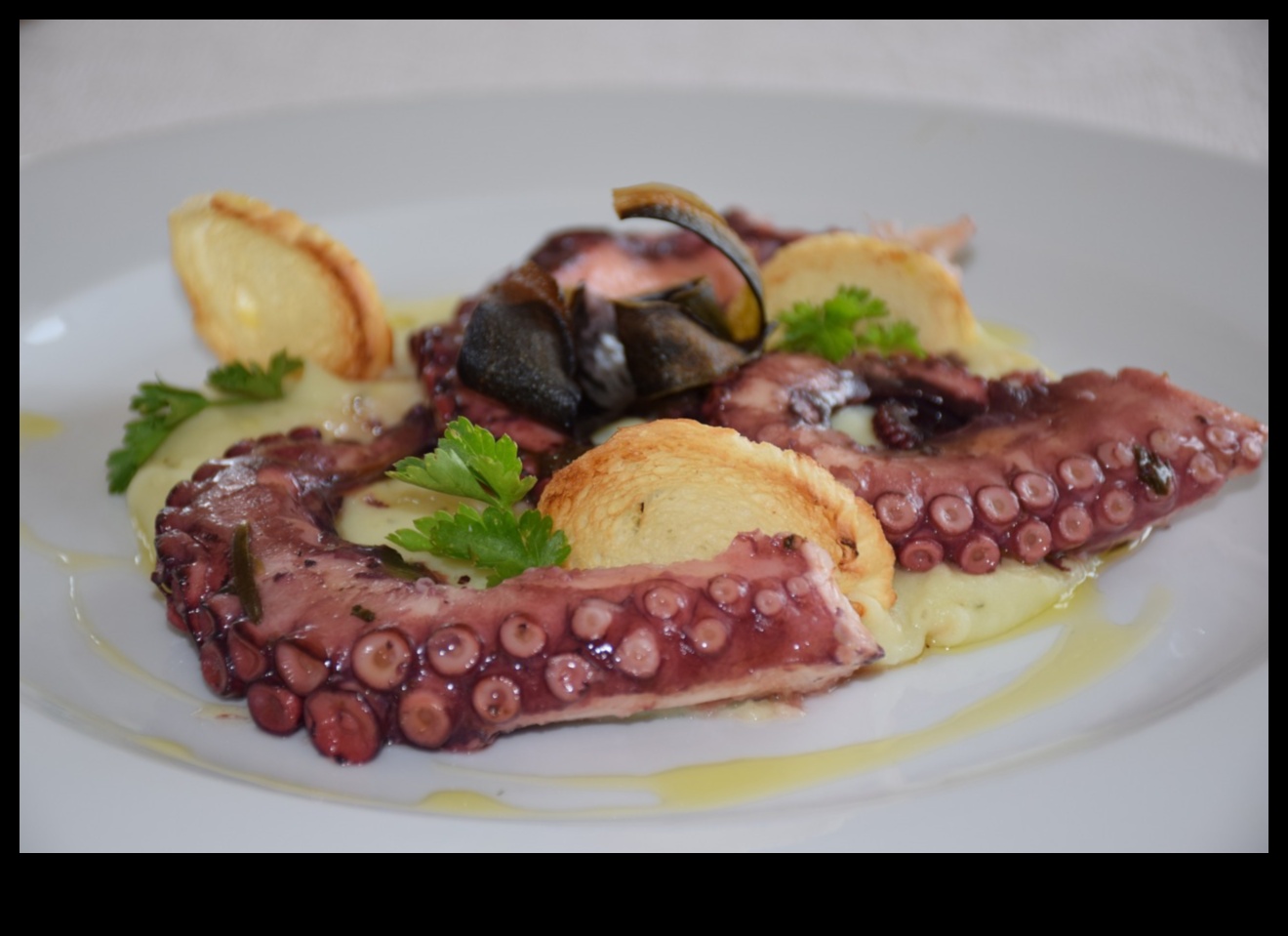 الرحلات الأبيقورية: رحلة إلى مناطق مثيرة مع أفكار الوصفات