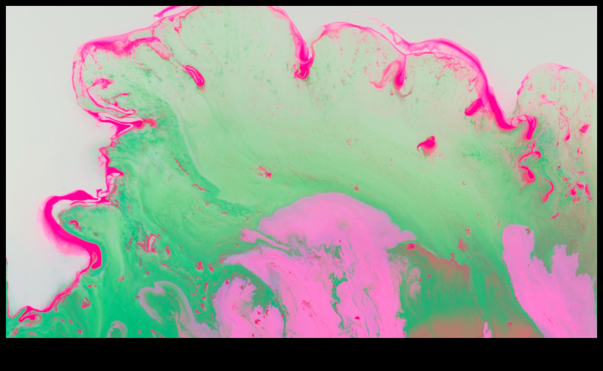 الفرشاة وما بعدها: استكشاف حدود الفن التوضيحي