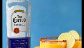 خيال فاكهي فيوجن: إنشاء مجموعات سحرية في العصائر الطازجة