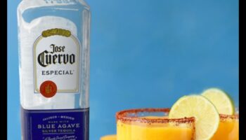 خيال فاكهي فيوجن: إنشاء مجموعات سحرية في العصائر الطازجة