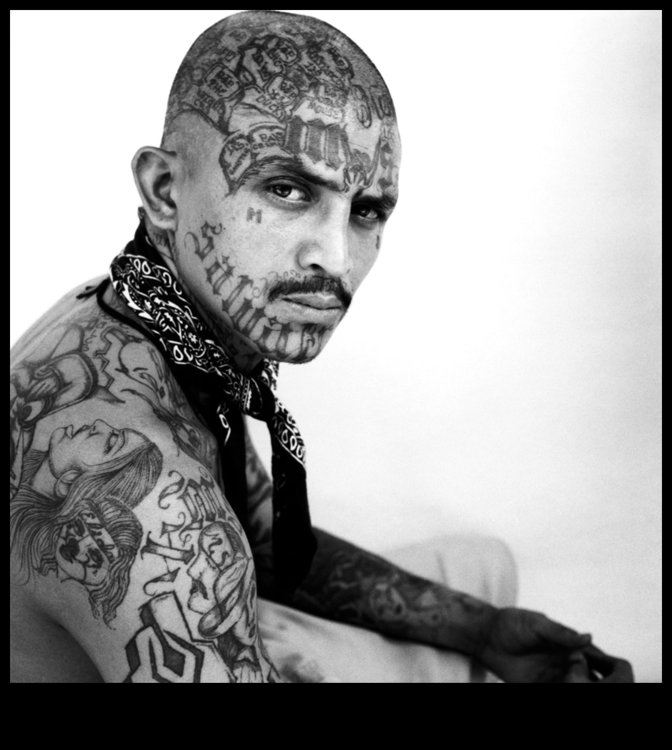 سجلات القماش: قصص تم الكشف عنها من خلال الوشم المنحوت الملحمي