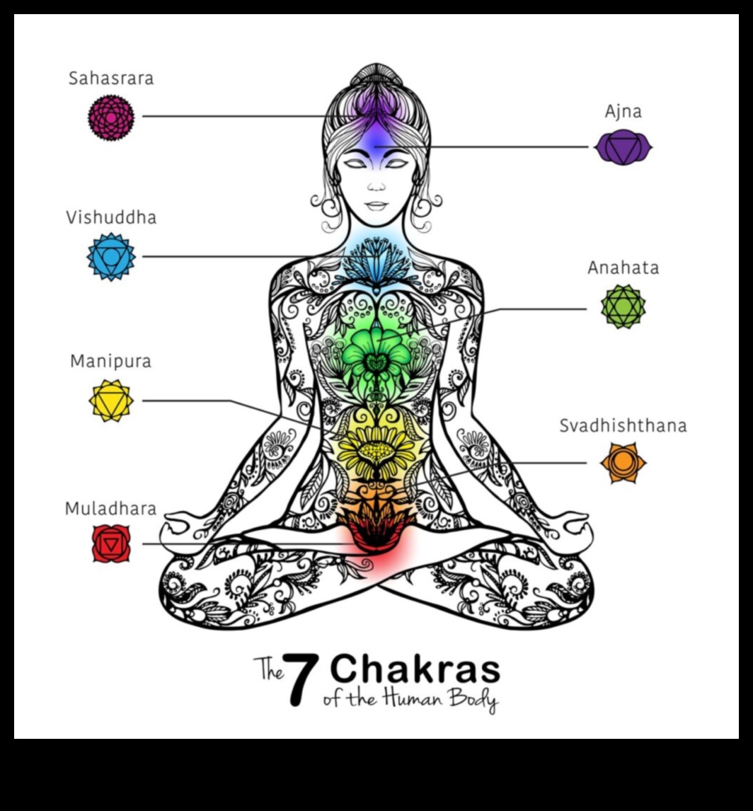 قانون التوازن: رعاية الرفاهية مع التأمل شقرا